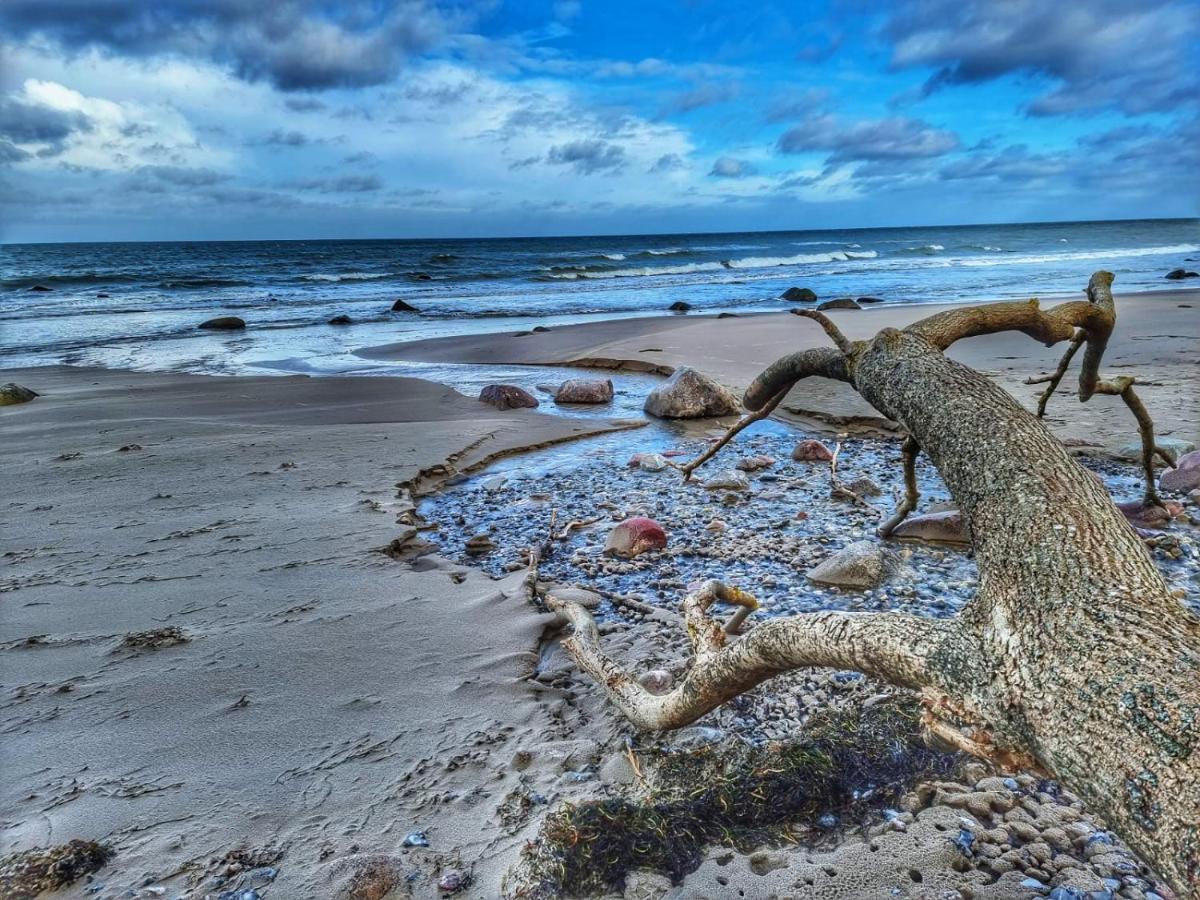 Ostseehaus Am Naturstrand - Ostseeblick Varnkevitz エクステリア 写真